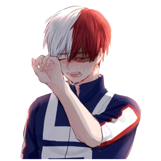Todoroki sticker 2