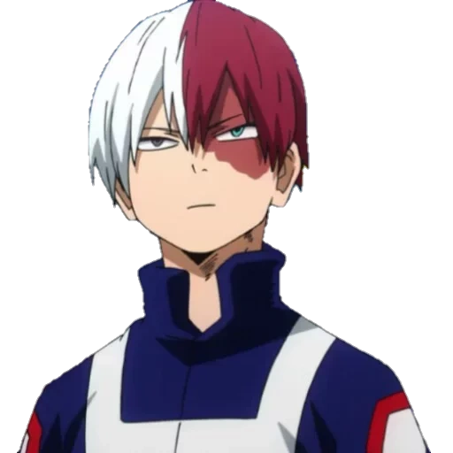 Todoroki sticker 11