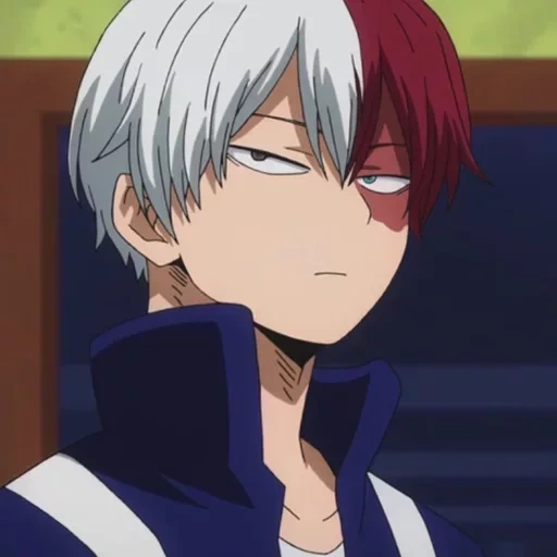 Todoroki sticker 12