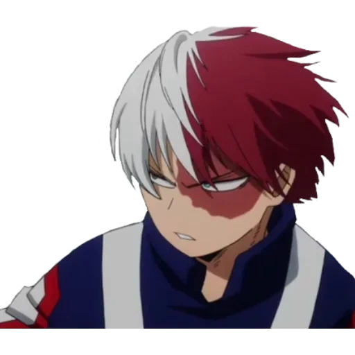 Todoroki sticker 19