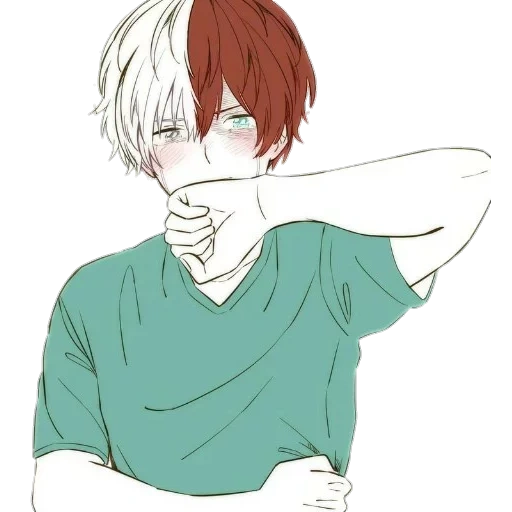 Todoroki sticker 22