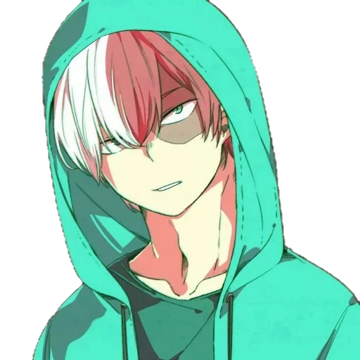 Todoroki sticker 24