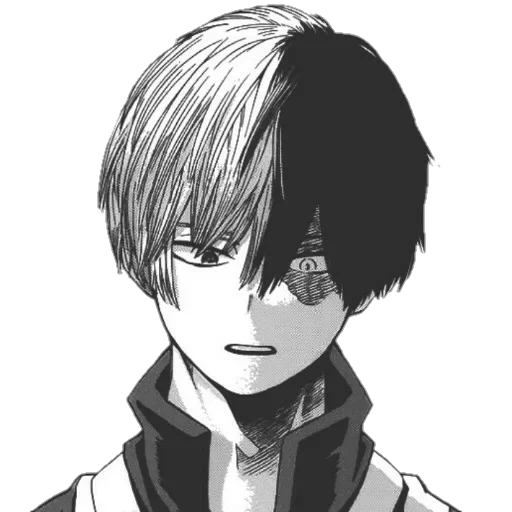Todoroki sticker 30