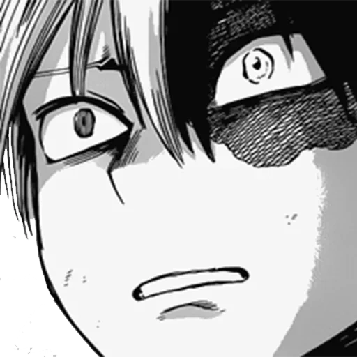 Todoroki sticker 34