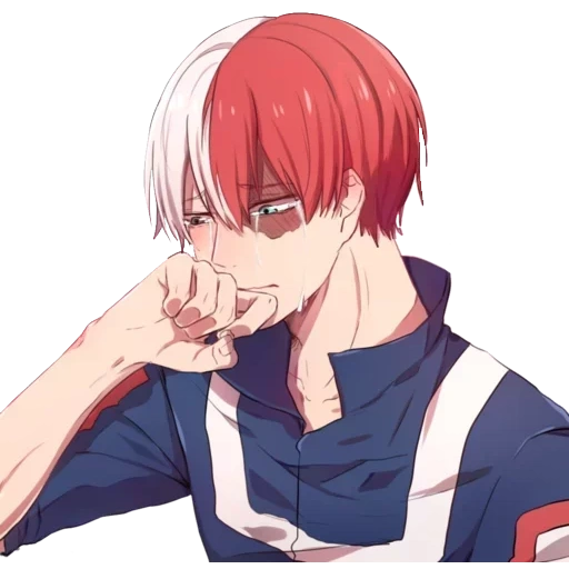 Todoroki sticker 5