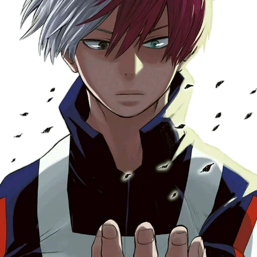Todoroki sticker 6