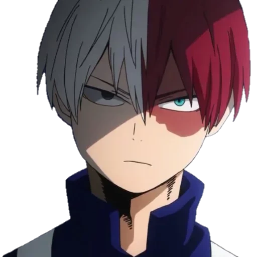 Todoroki sticker 10