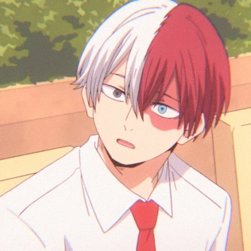 Shoto Todoroki sticker 19
