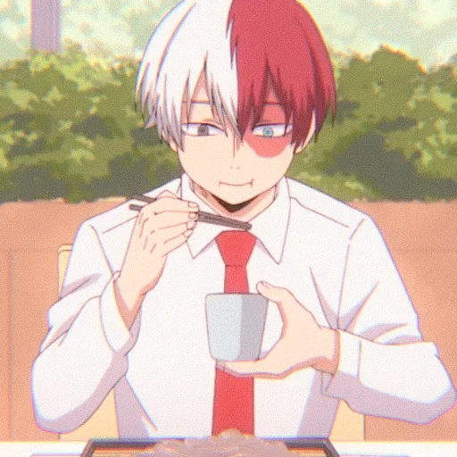 Shoto Todoroki sticker 22