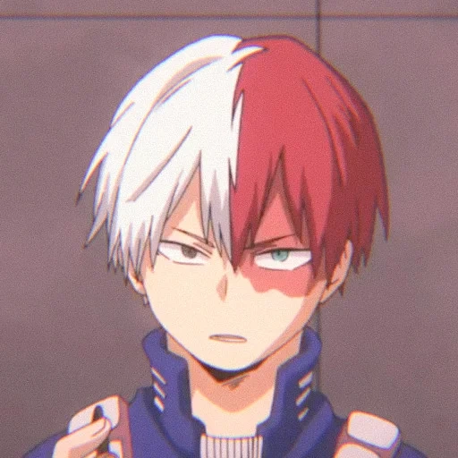 Shoto Todoroki sticker 27