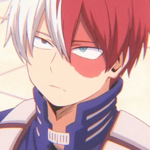 Shoto Todoroki sticker 28