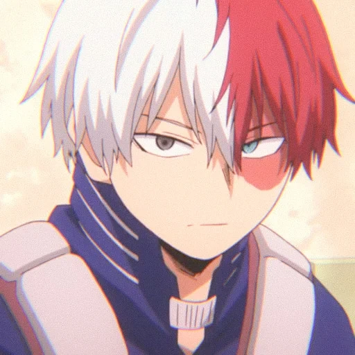 Shoto Todoroki sticker 29
