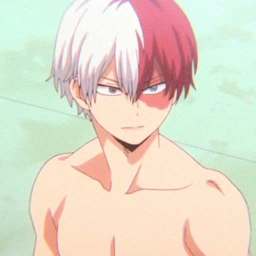 Shoto Todoroki sticker 30