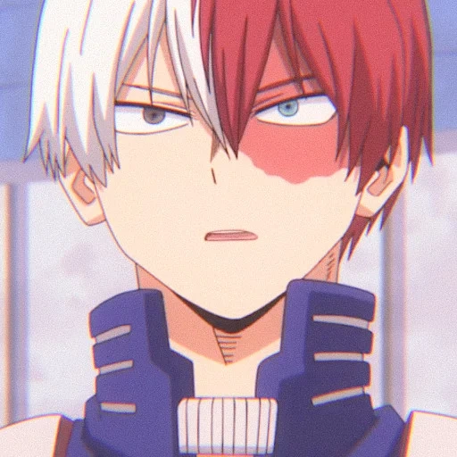Shoto Todoroki sticker 4