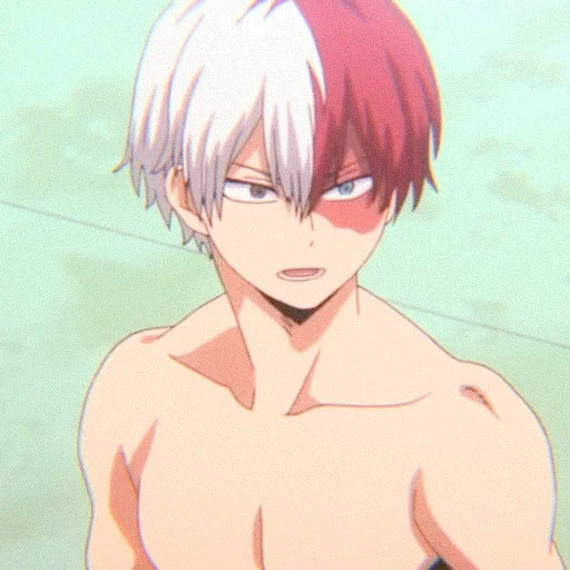 Shoto Todoroki sticker 31