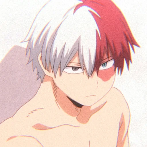 Shoto Todoroki sticker 32