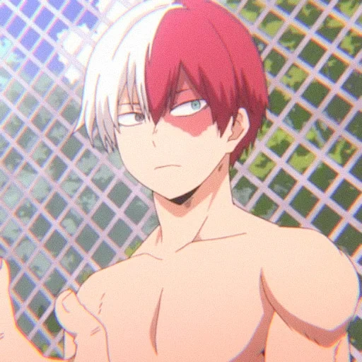 Shoto Todoroki sticker 33