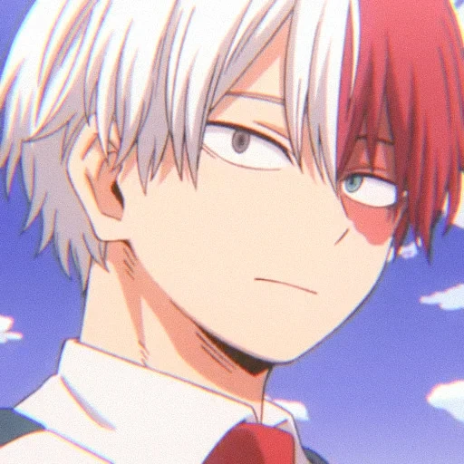 Shoto Todoroki sticker 35