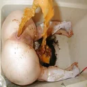 fev Telegram sticker pack