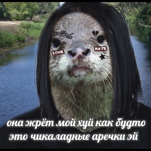 VidroMemi_Part2 sticker 2