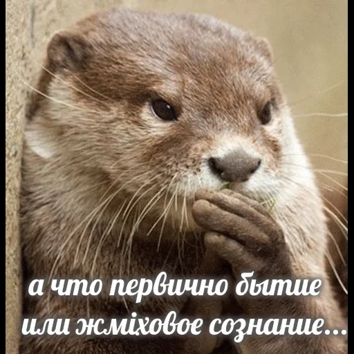 VidroMemi_Part2 sticker 101