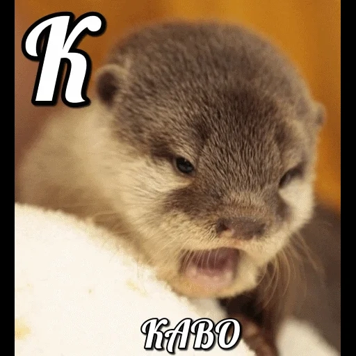 VidroMemi_Part2 sticker 103