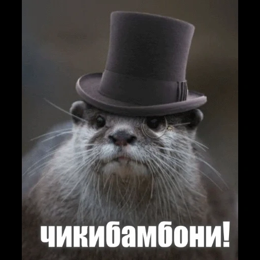 VidroMemi_Part2 sticker 109