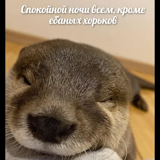 VidroMemi_Part2 sticker 12