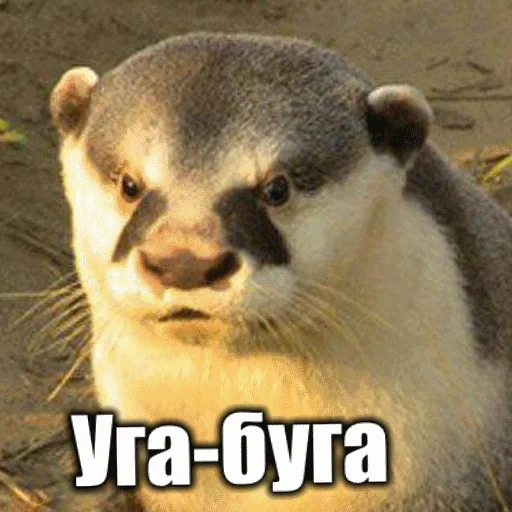 VidroMemi_Part2 sticker 115