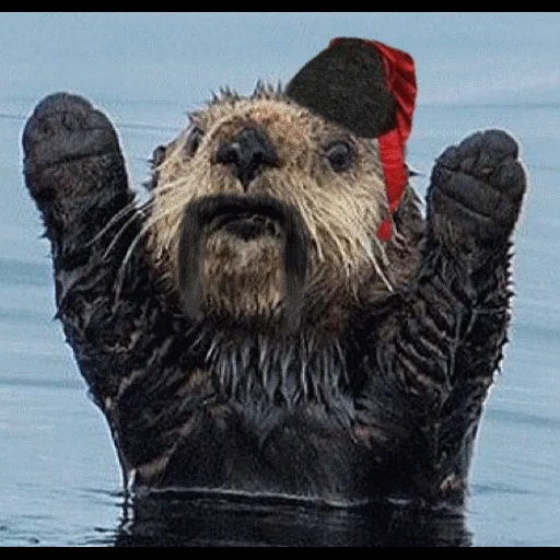 VidroMemi_Part2 sticker 117