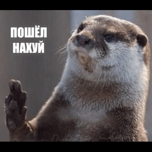 VidroMemi_Part2 sticker 119