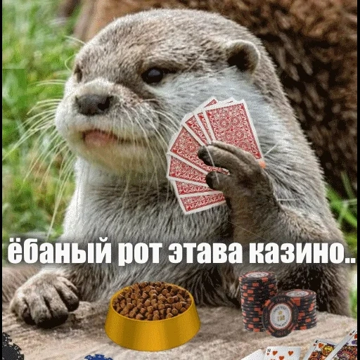 VidroMemi_Part2 sticker 13