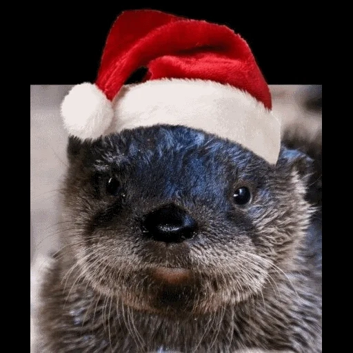 VidroMemi_Part2 sticker 16