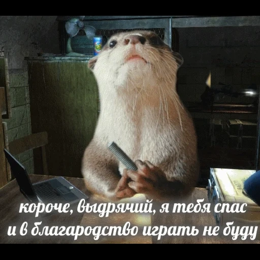 VidroMemi_Part2 sticker 3