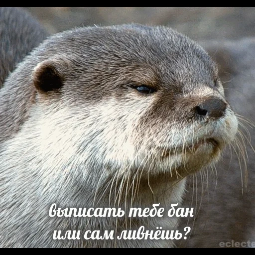 VidroMemi_Part2 sticker 25