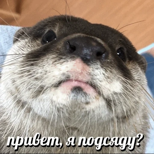 VidroMemi_Part2 sticker 27