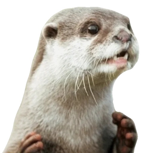 VidroMemi_Part2 sticker 4