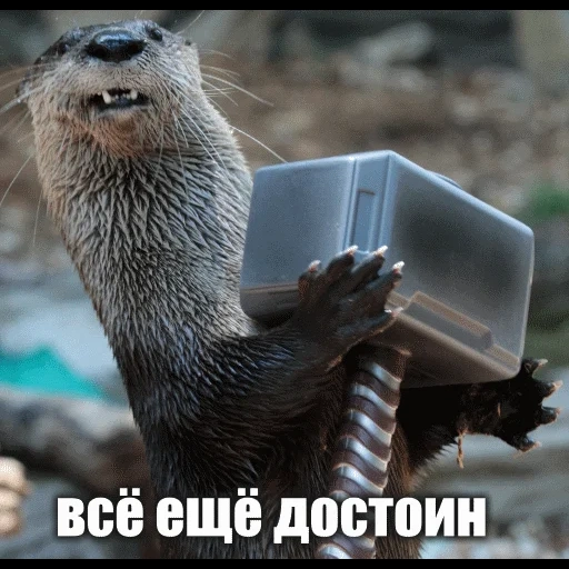 VidroMemi_Part2 sticker 33