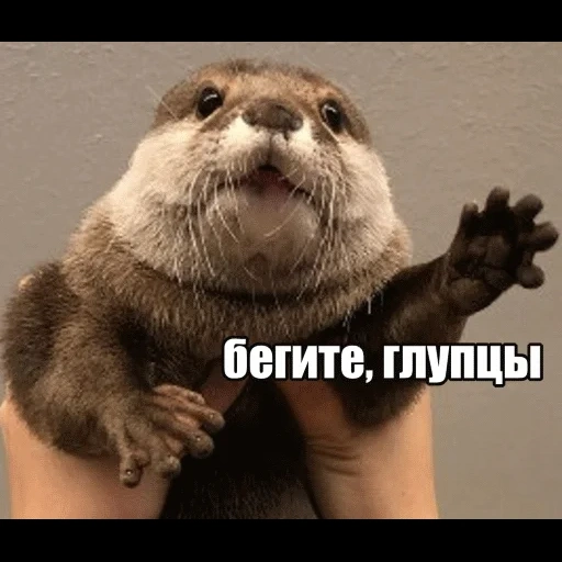 VidroMemi_Part2 sticker 35