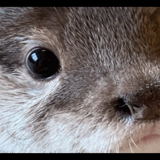 VidroMemi_Part2 sticker 40