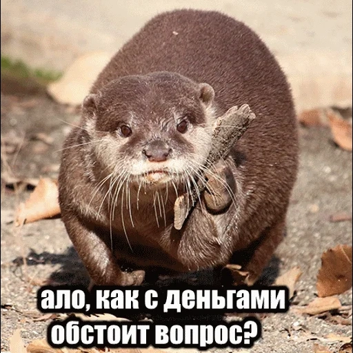 VidroMemi_Part2 sticker 5