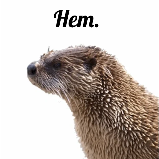 VidroMemi_Part2 sticker 43