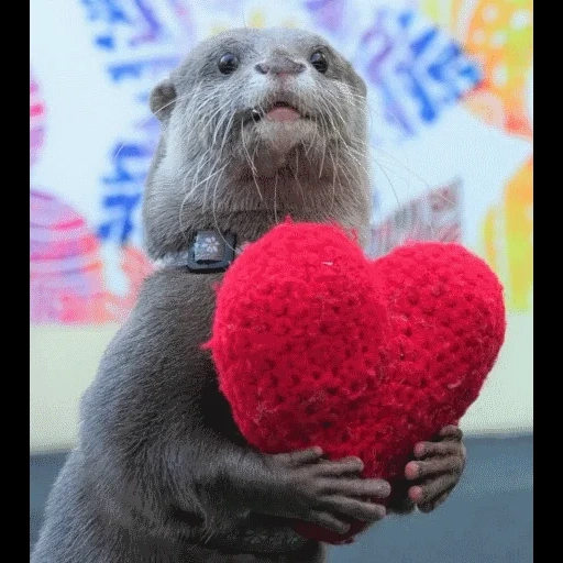 VidroMemi_Part2 sticker 48