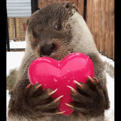 VidroMemi_Part2 sticker 49