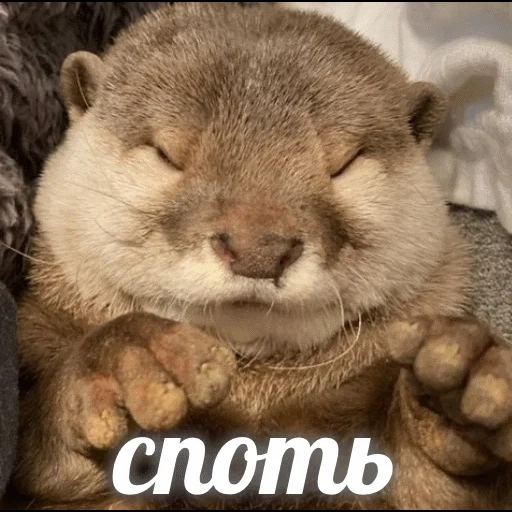 VidroMemi_Part2 sticker 57