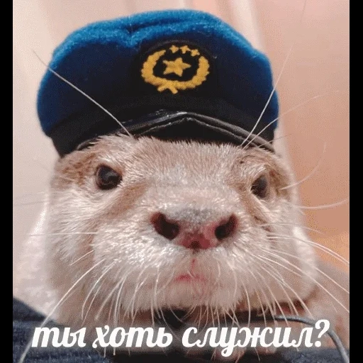 VidroMemi_Part2 sticker 59