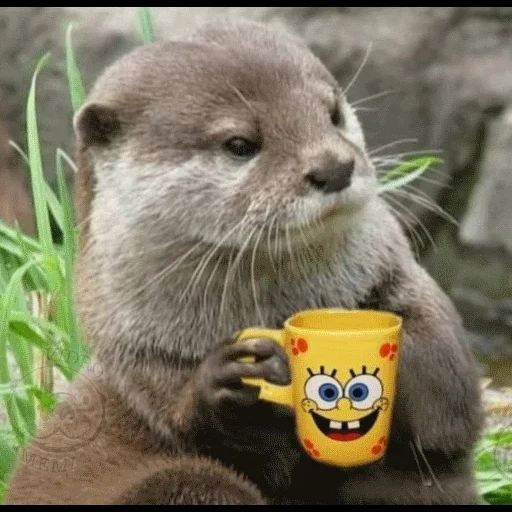 VidroMemi_Part2 sticker 63