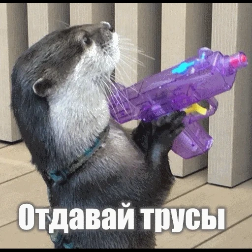 VidroMemi_Part2 sticker 64