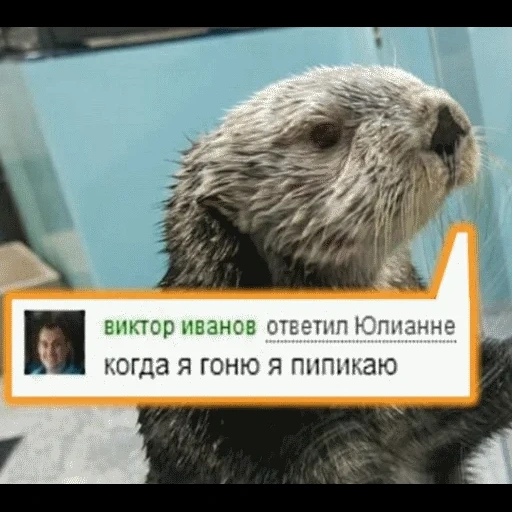 VidroMemi_Part2 sticker 65