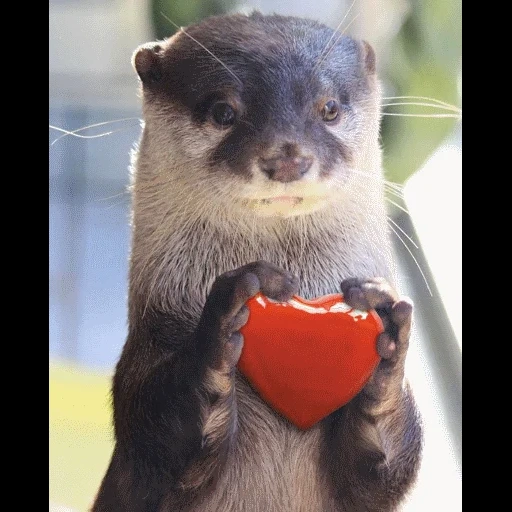 VidroMemi_Part2 sticker 68